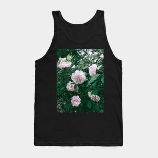 SEARCH FOR CHARMING ROSES Tank Top